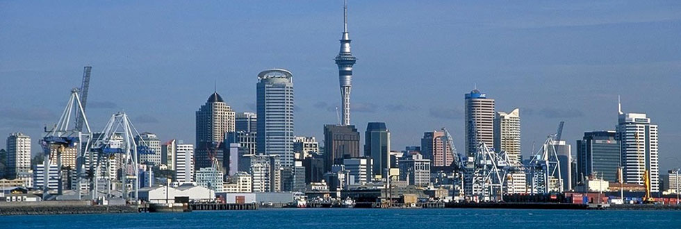 Psychotherapy & Counselling Auckland citywide